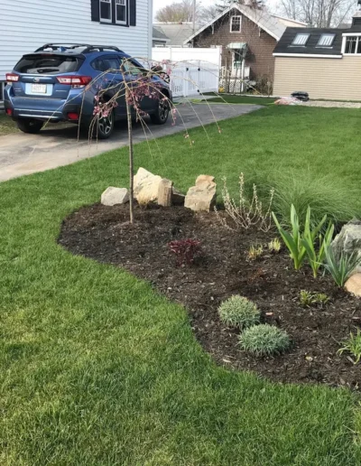 Beautiful small mulched yard